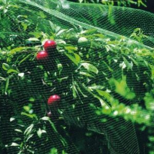 MALLA ANTI-PAJARO NATUUR PLASTICO VERDE 2X10MT NT