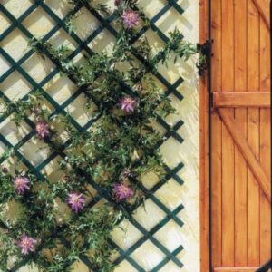 CELOSÍA EXTENSIBLE PLÁSTICO TRELLIFLEX,1 X 2 M. VERDE