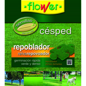 SEMILLAS CESPED REPOBLADOR,1KG